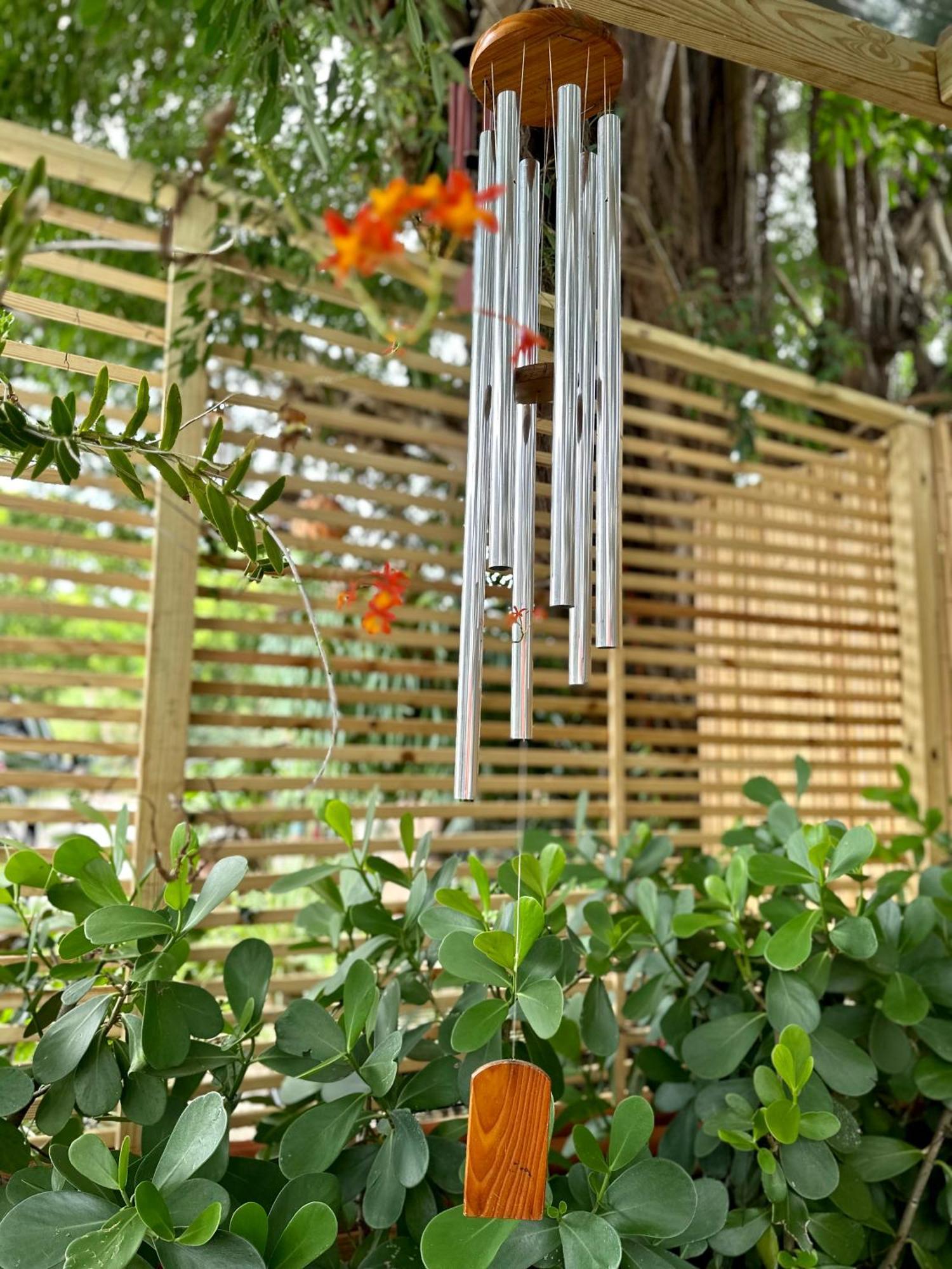 Flora'S Garden Apartment/Studio North Miami Exteriér fotografie